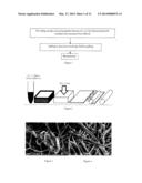 BIOMATERIAL, METHOD FOR MAKING THE BIOMATERIAL AND USES OF THE SAME diagram and image