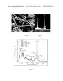 BIOMATERIAL, METHOD FOR MAKING THE BIOMATERIAL AND USES OF THE SAME diagram and image