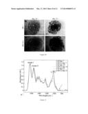 BIOMATERIAL, METHOD FOR MAKING THE BIOMATERIAL AND USES OF THE SAME diagram and image