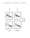 COMPOUNDS THAT INHIBIT HSP90 PROTEIN-PROTEIN INTERACTIONS WITH IAP     PROTEINS diagram and image