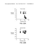 COMPOUNDS THAT INHIBIT HSP90 PROTEIN-PROTEIN INTERACTIONS WITH IAP     PROTEINS diagram and image