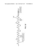 COMPOUNDS THAT INHIBIT HSP90 PROTEIN-PROTEIN INTERACTIONS WITH IAP     PROTEINS diagram and image