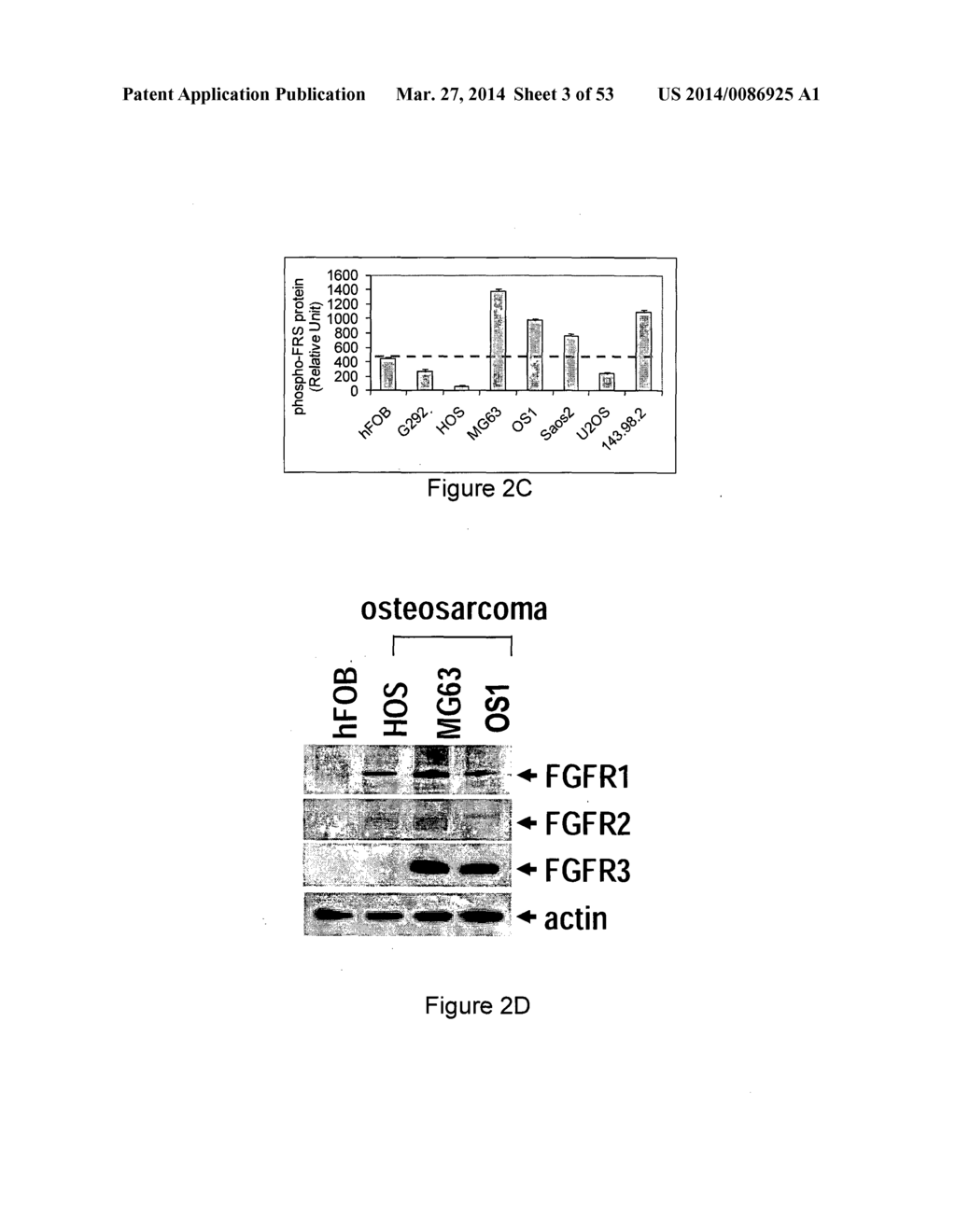 FGFR1 ANTIBODIES AND TREATMENT OF CANCER - diagram, schematic, and image 04