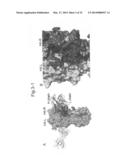 NOVEL EPITOPE AND MECHANISM OF ANTIGEN-ANTIBODY INTERACTION IN AN     INFLUENZA VIRUS diagram and image