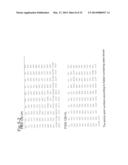 NOVEL EPITOPE AND MECHANISM OF ANTIGEN-ANTIBODY INTERACTION IN AN     INFLUENZA VIRUS diagram and image