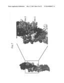 NOVEL EPITOPE AND MECHANISM OF ANTIGEN-ANTIBODY INTERACTION IN AN     INFLUENZA VIRUS diagram and image