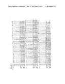 NOVEL EPITOPE AND MECHANISM OF ANTIGEN-ANTIBODY INTERACTION IN AN     INFLUENZA VIRUS diagram and image