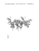 NOVEL EPITOPE AND MECHANISM OF ANTIGEN-ANTIBODY INTERACTION IN AN     INFLUENZA VIRUS diagram and image