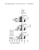 VACCINES FOR HSV-2 diagram and image