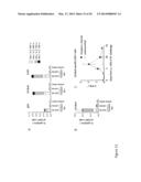 VACCINES FOR HSV-2 diagram and image