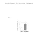 RECOMBINANT LACTOCOCCUS LACTIS EXPRESSING ESCHERICHIA COLI COLONIZATION     FACTOR ANTIGEN I (CFA/I) FIMBRIAE AND THEIR METHODS OF USE diagram and image