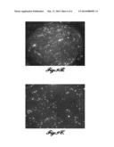 POLYMER MICROSPHERE COMPOSITIONS FOR LOCALIZED DELIVERY OF THERAPEUTIC     AGENTS diagram and image