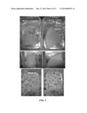 DRIED SILKEN TOFU diagram and image