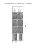 DRIED SILKEN TOFU diagram and image