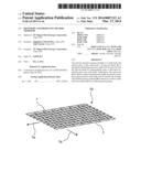 MESH BODY AND PRODUCING METHOD THEREFOR diagram and image