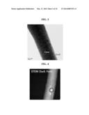 COMPOSITE ANODE ACTIVE MATERIAL, ANODE AND LITHIUM BATTERY EACH INCLUDING     THE COMPOSITE ANODE ACTIVE MATERIAL, METHOD OF PREPARING THE COMPOSITE     ANODE ACTIVE MATERIAL diagram and image