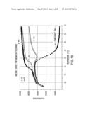 DOUBLE STRANDED LINEAR NUCLEIC ACID PROBE diagram and image