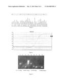 Methods of Nucleic Acid Liquid-phase Extraction and Detection diagram and image