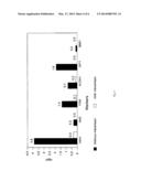 Detection of Tumor Stem Cells and Tumor Cells in Epithelial-Mesenchymal     Transition in Body Fluids of Cancer Patients diagram and image