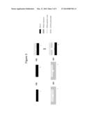 Health Diagnostic Compact Disc diagram and image