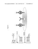 Health Diagnostic Compact Disc diagram and image