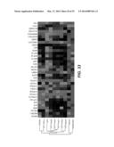 METHODS AND COMPOSITIONS FOR PRODUCING INDUCED HEPATOCYTES diagram and image