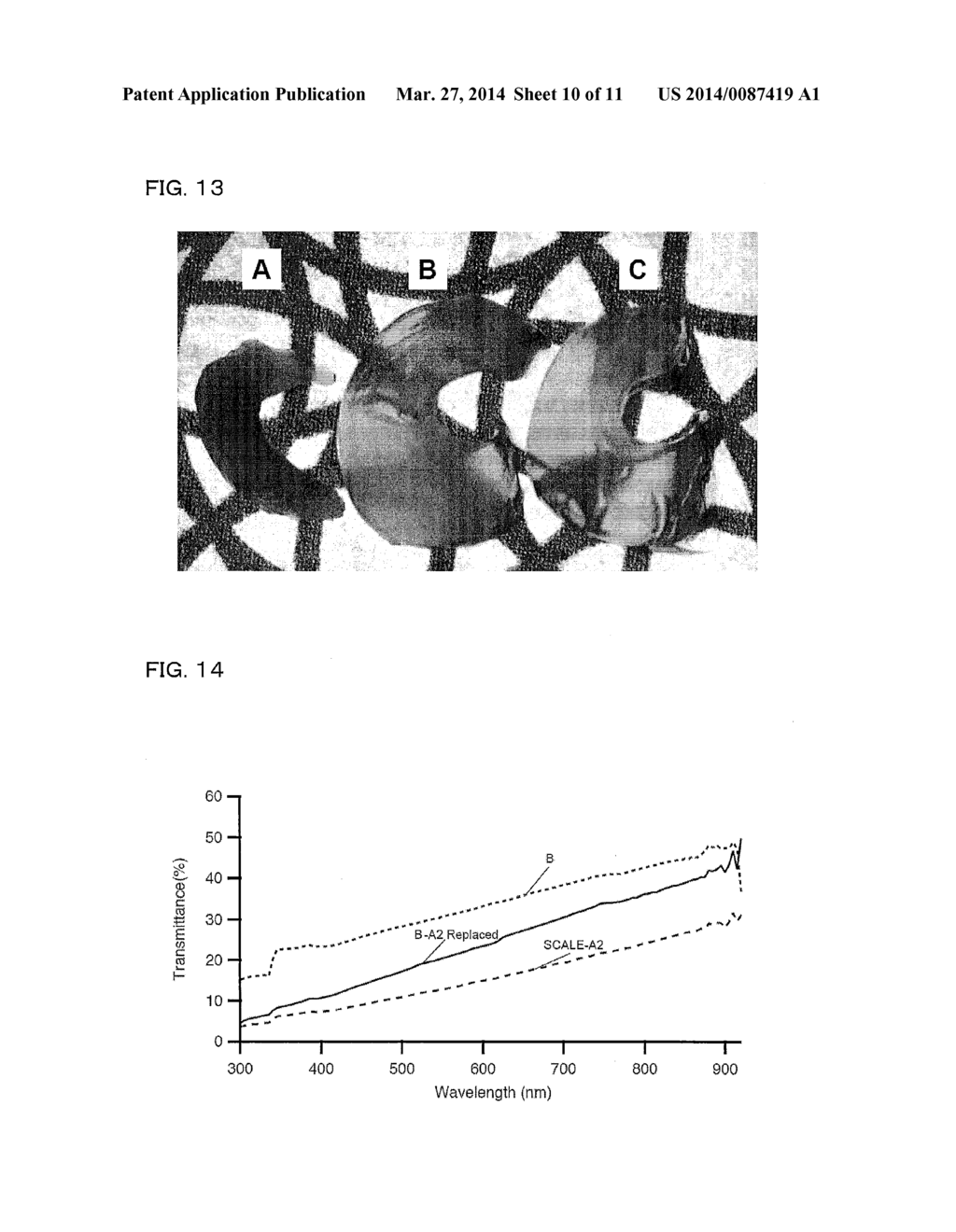 METHOD FOR MAKING BIOLOGICAL MATERIAL TRANSPARENT AND USE THEREOF - diagram, schematic, and image 11