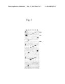 Nucleic acids related to fusion proteins diagram and image