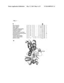 Cell Modeling of Heme Deficiency using Ferrochelatase Mutations diagram and image