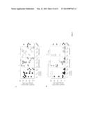 METHOD FOR POLYCLONAL STIMULATION OF T CELLS BY FLEXIBLE NANOMATRICES diagram and image