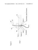 APPARATUS AND METHODS FOR PERFORMING OPTICAL NANOPORE DETECTION OR     SEQUENCING diagram and image