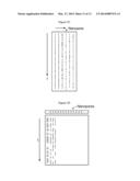 APPARATUS AND METHODS FOR PERFORMING OPTICAL NANOPORE DETECTION OR     SEQUENCING diagram and image