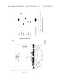 Markers Related to Age-Related Macular Degeneration and Uses Therefor diagram and image