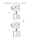 Identification of Linkage Using Multiplex Digital PCR diagram and image