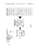 Identification of Linkage Using Multiplex Digital PCR diagram and image