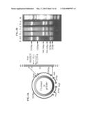 ANTI-MICROBIAL PEPTIDES AND USES OF SAME diagram and image