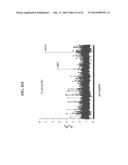 ANTI-MICROBIAL PEPTIDES AND USES OF SAME diagram and image