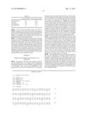 NOVEL ACTIVIN RECEPTOR AND USES THEREOF diagram and image