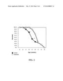 USE OF AKT PHOSPHORYLATION AS A BIOMARKER FOR PROGNOSING NEURODEGENERATIVE     DISEASES AND TREATING SAME diagram and image