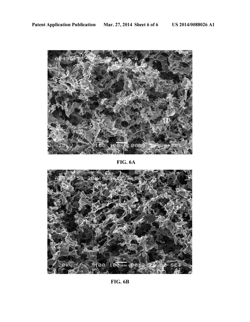 LYOPHILIZATION OF SYNTHETIC LIPOSOMAL PULMONARY SURFACTANT - diagram, schematic, and image 07