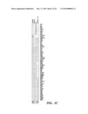 CARDIAC GLYCOSIDES ARE POTENT INHIBITORS OF INTERFERON-BETA GENE     EXPRESSION diagram and image