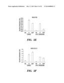 CARDIAC GLYCOSIDES ARE POTENT INHIBITORS OF INTERFERON-BETA GENE     EXPRESSION diagram and image