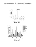 CARDIAC GLYCOSIDES ARE POTENT INHIBITORS OF INTERFERON-BETA GENE     EXPRESSION diagram and image