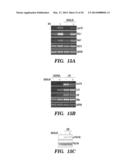 CARDIAC GLYCOSIDES ARE POTENT INHIBITORS OF INTERFERON-BETA GENE     EXPRESSION diagram and image