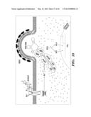 CARDIAC GLYCOSIDES ARE POTENT INHIBITORS OF INTERFERON-BETA GENE     EXPRESSION diagram and image