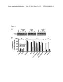 SORAFENIB DERIVATIVES AS SEH INHIBITORS diagram and image