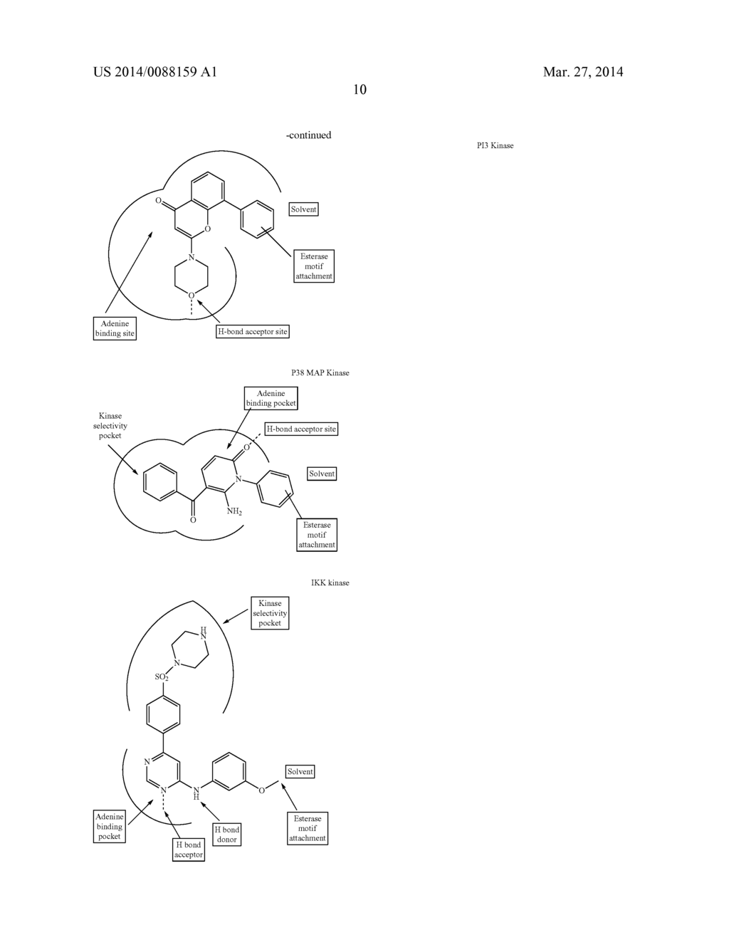 ENZYME AND RECEPTOR MODULATION - diagram, schematic, and image 11