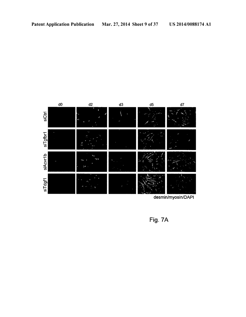 COMPOUNDS AND METHODS FOR ALTERING ACTIVIN RECEPTOR-LIKE KINASE SIGNALING - diagram, schematic, and image 10