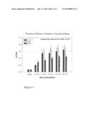 GENE TRANSFER FOR REGULATING SMOOTH MUSCLE TONE diagram and image