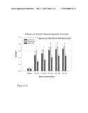 GENE TRANSFER FOR REGULATING SMOOTH MUSCLE TONE diagram and image